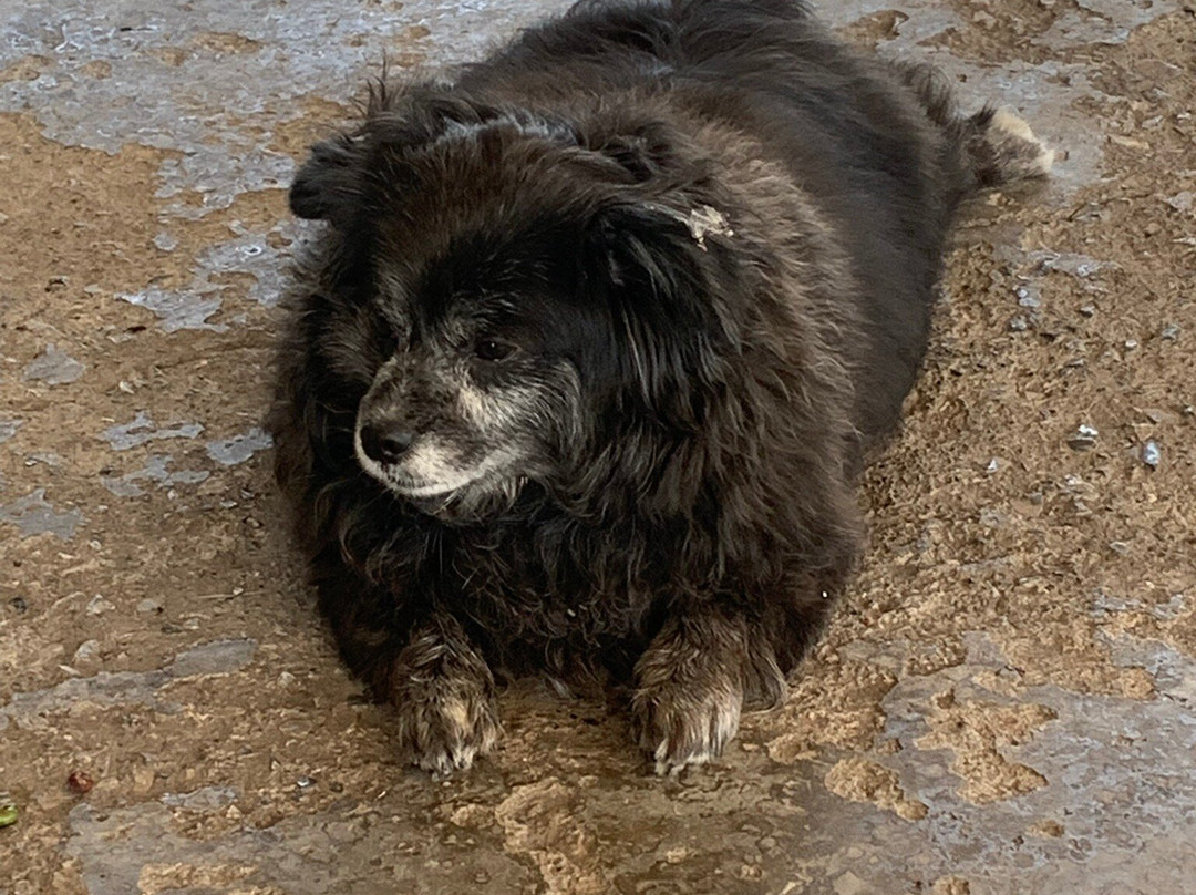 Garakis Winery-Kounavi必去景点