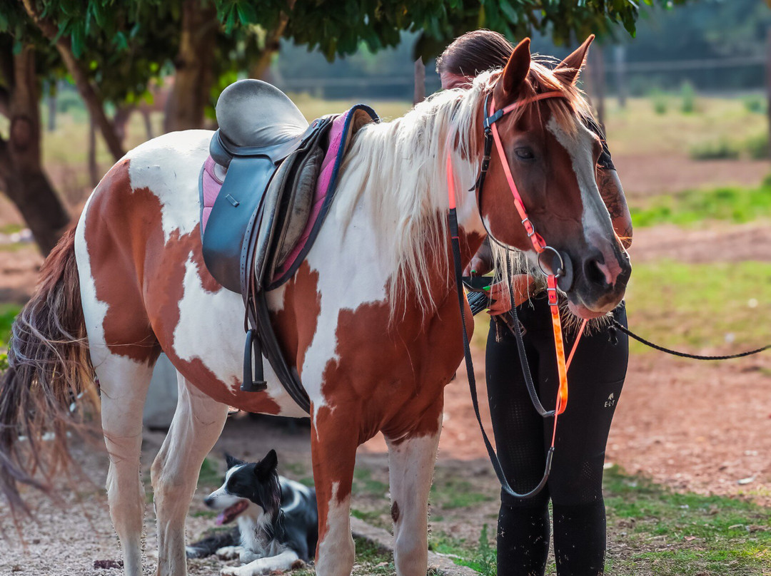 The Fairy Ranch-Rocca di Papa必去景点