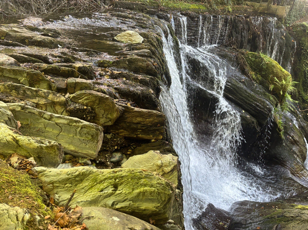 Dyfi Furnace-Machynlleth必去景点