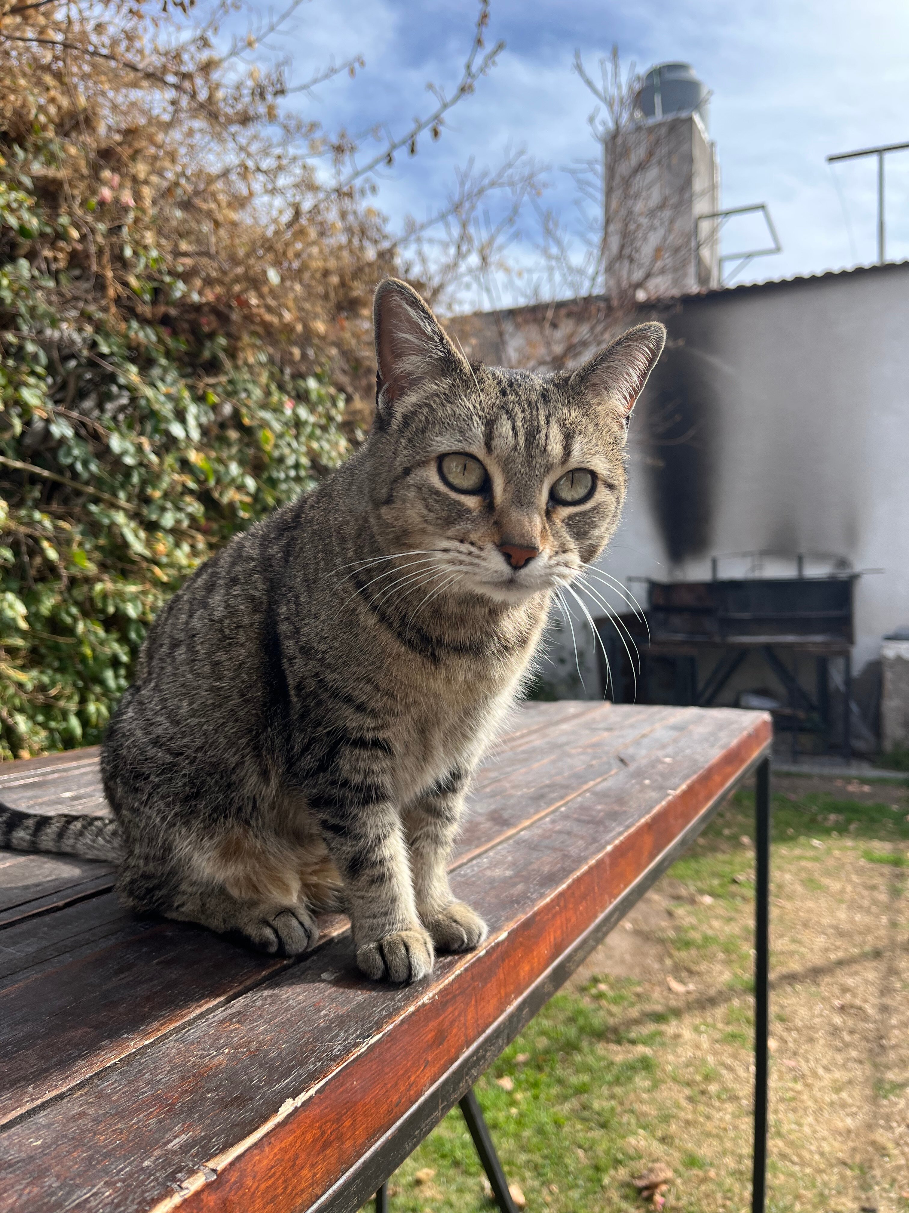Tanino Guest House-官方