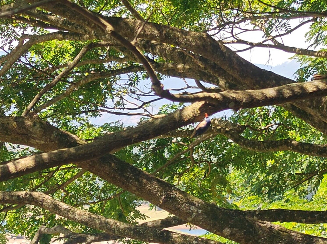 Sri Lanka Trekking-康提必去景点