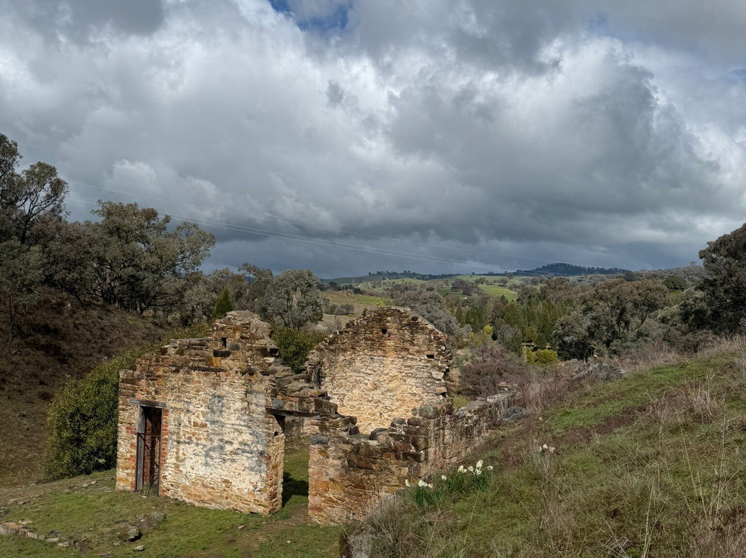 Adelong Falls Gold Mill Ruins-Adelong必去景点