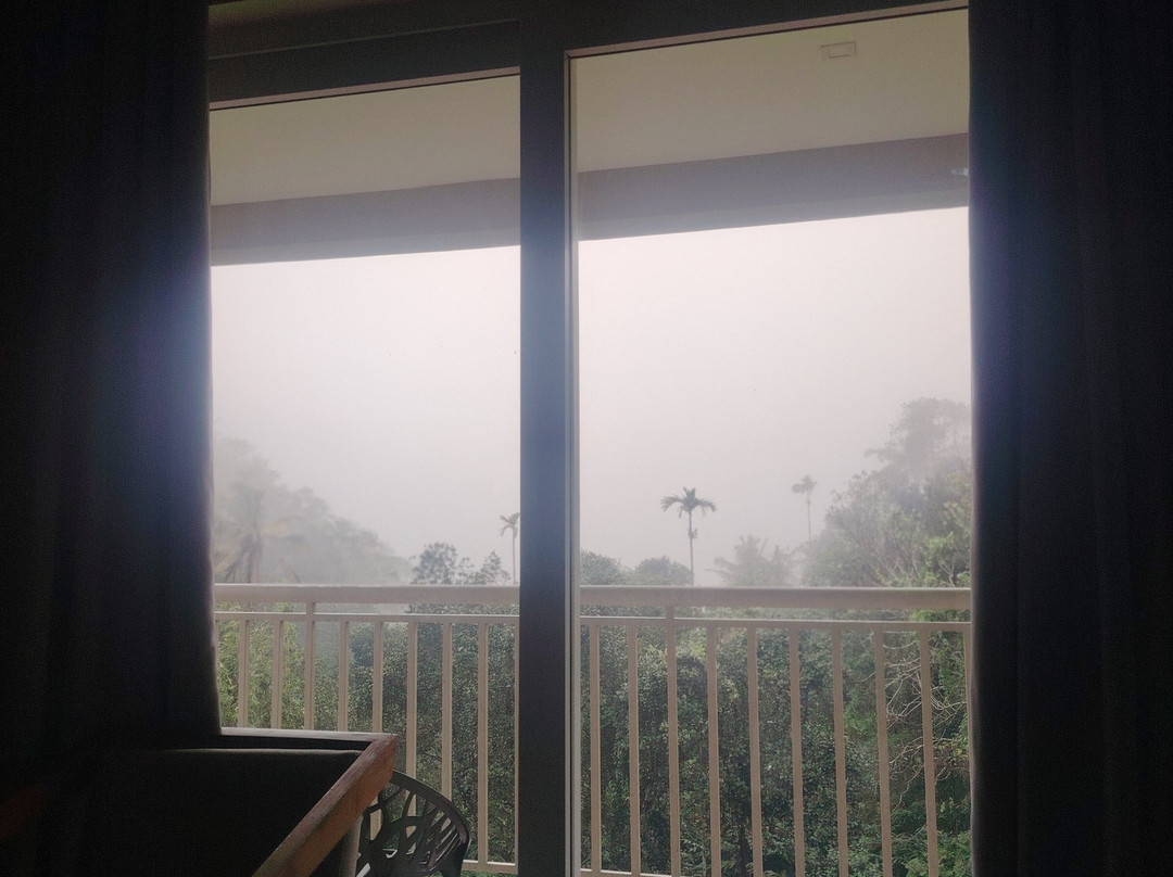 Aveda Mountains And Mist - Munnar主图