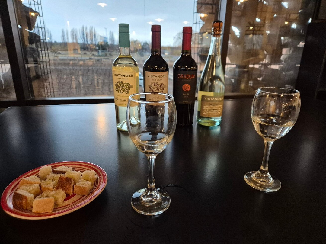 Vistandes Winery-Maipu必去景点