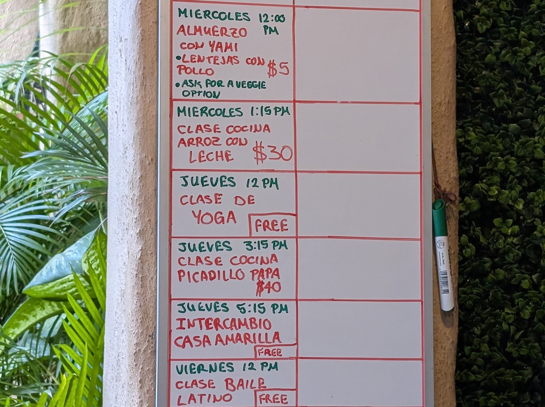 Tico Lingo-爱雷迪雅必去景点