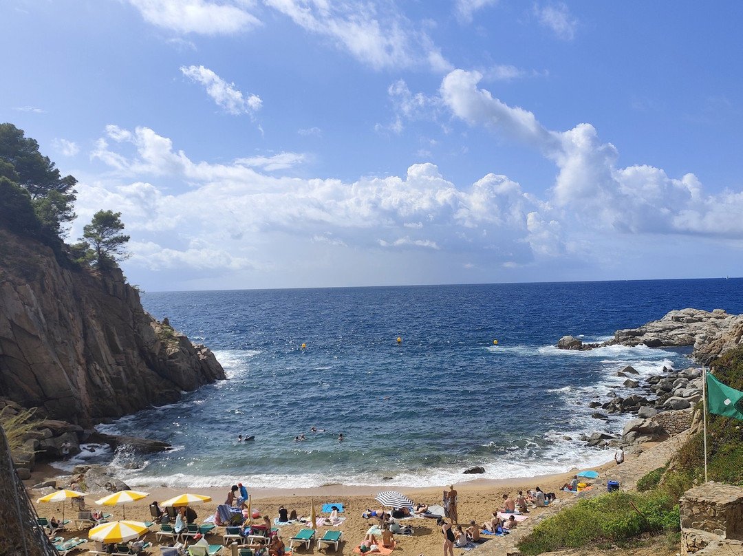 Platja d’es Codolar-多萨德马尔必去景点