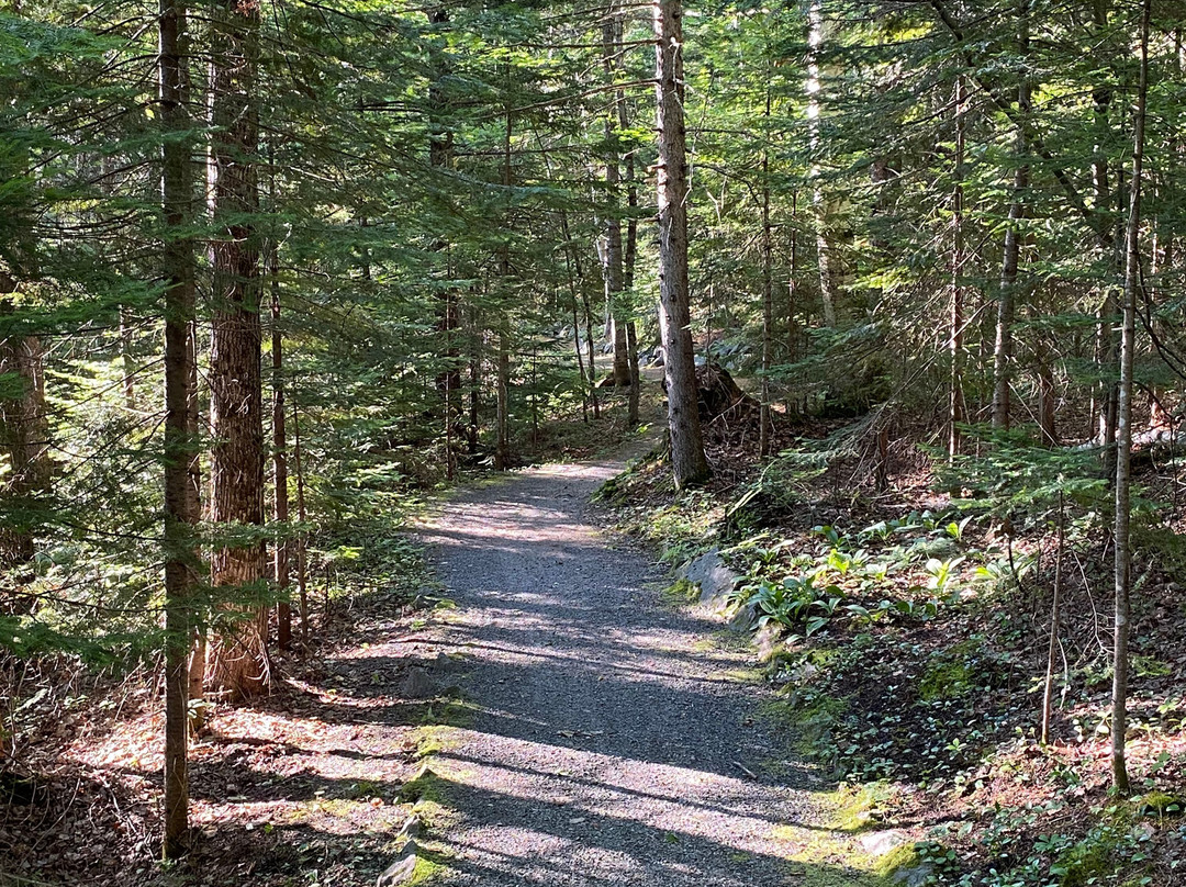 Brighton State Park-Island Pond必去景点