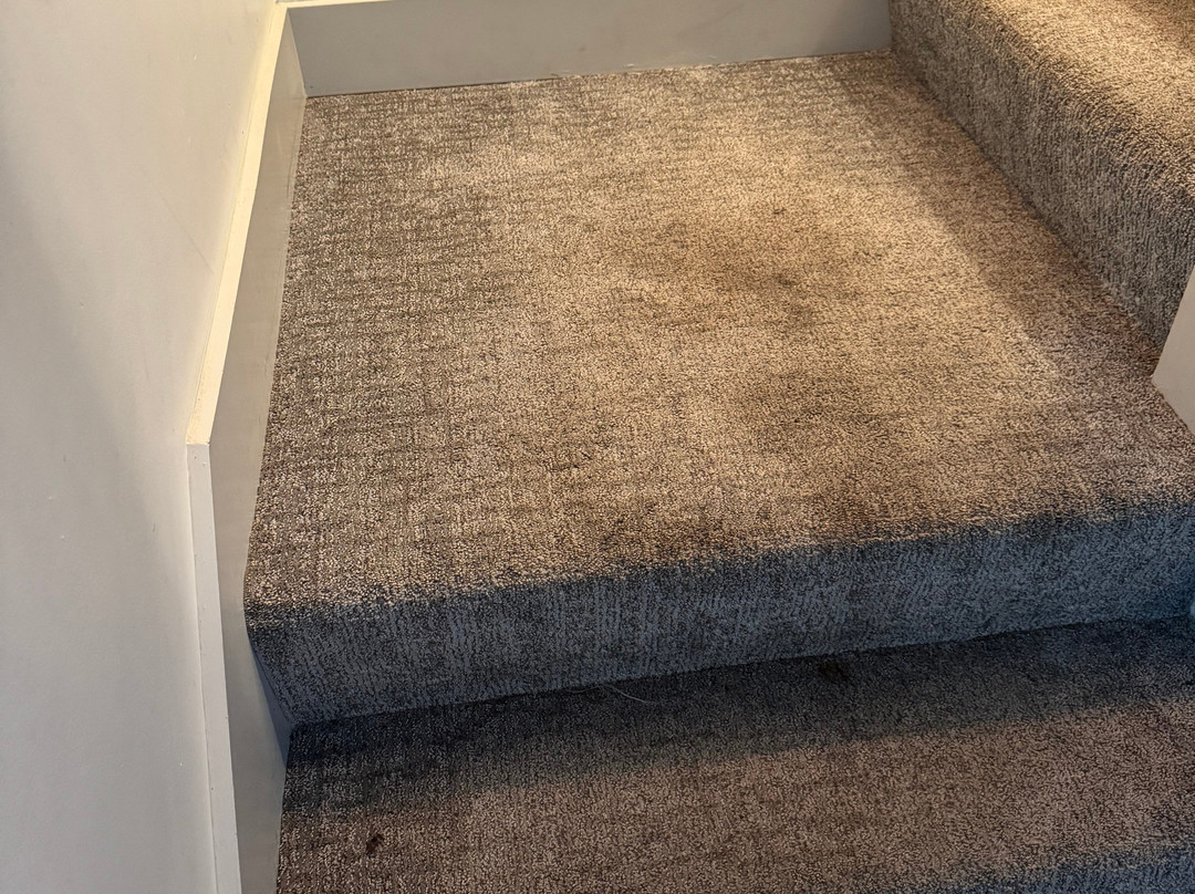 Toby's Retreat at Holloways Beach主图