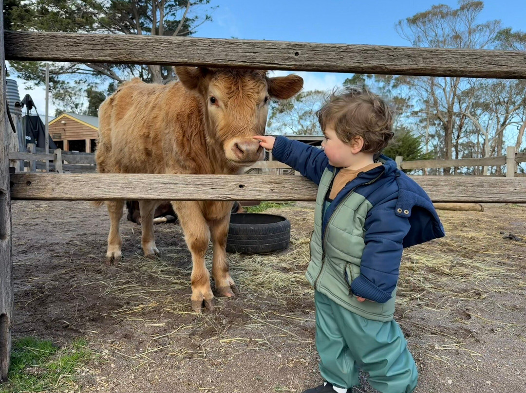 Churchill Island-菲利普岛必去景点