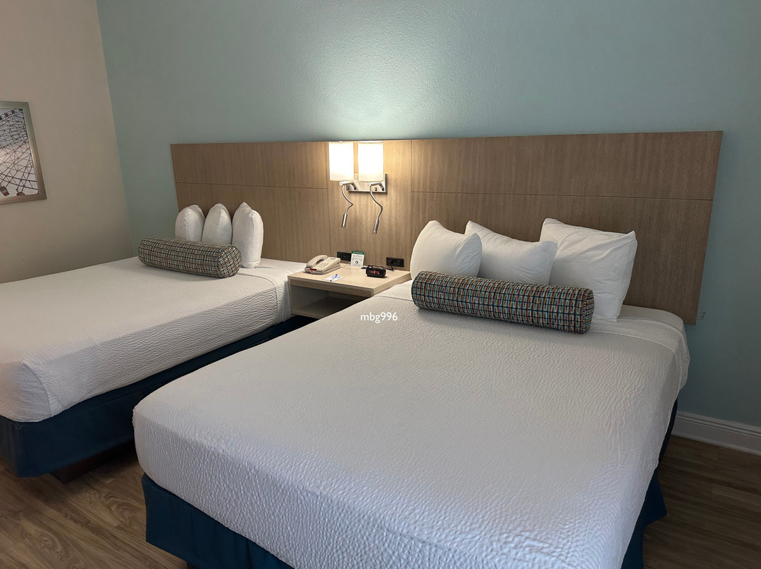 奥兰多佳乐利棕榈酒店主图