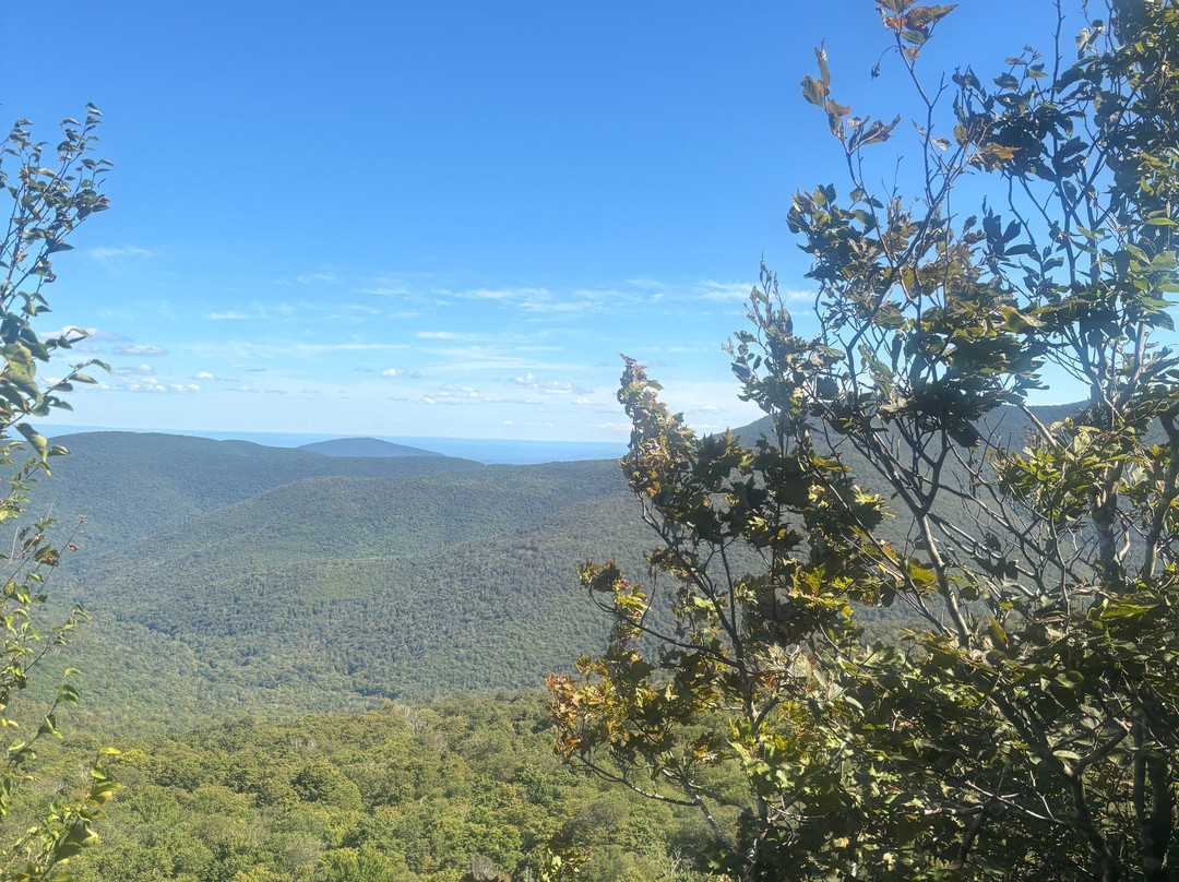 Urban Cowboy Lodge主图