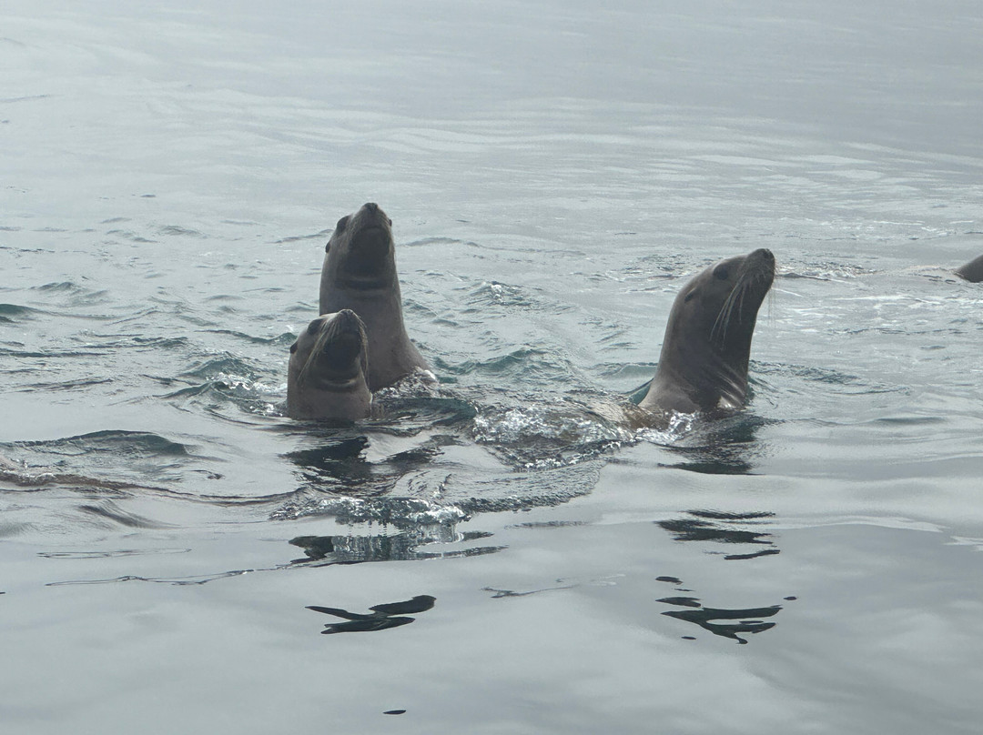 Wooshkeetaan Tours-胡纳必去景点