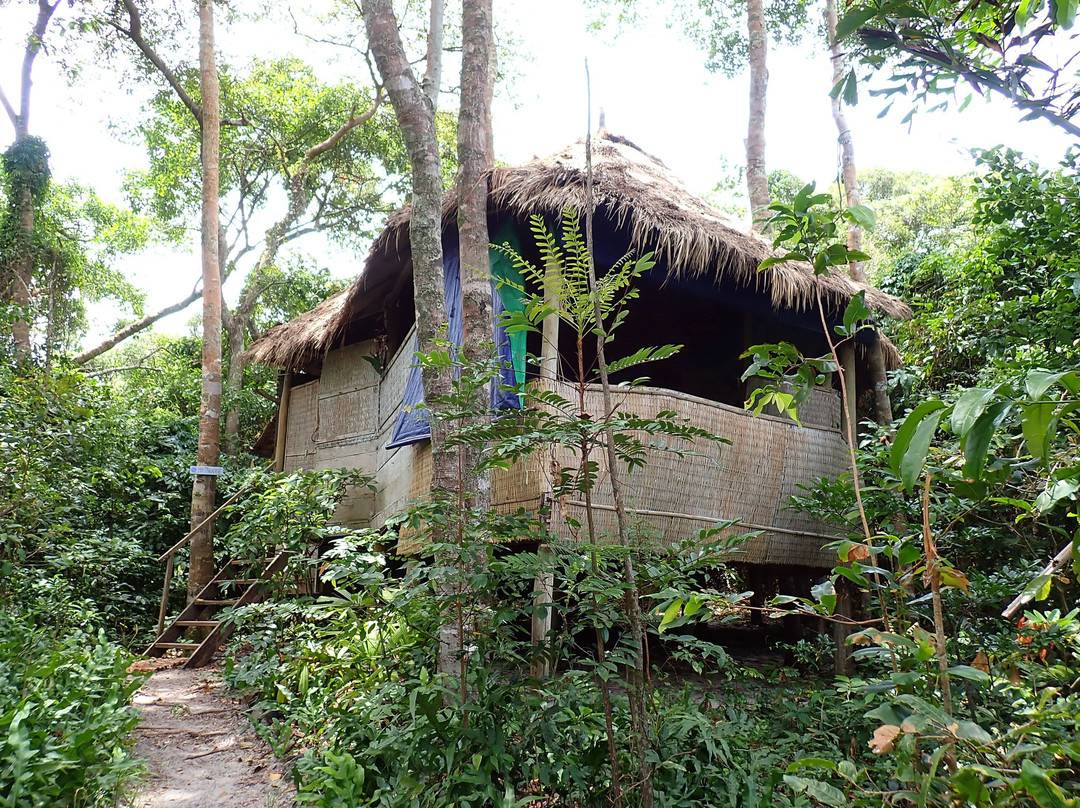 Kactus - The Hidden Treehouse主图