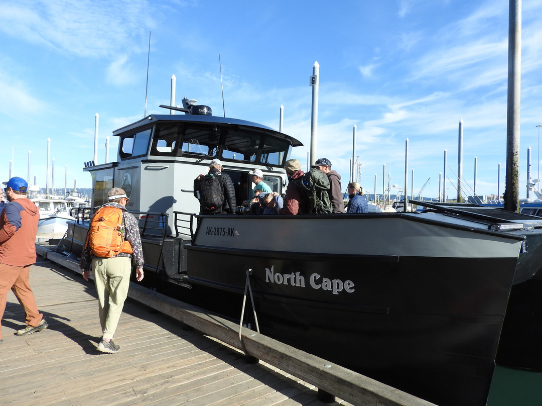 Coldwater Alaska-荷马必去景点