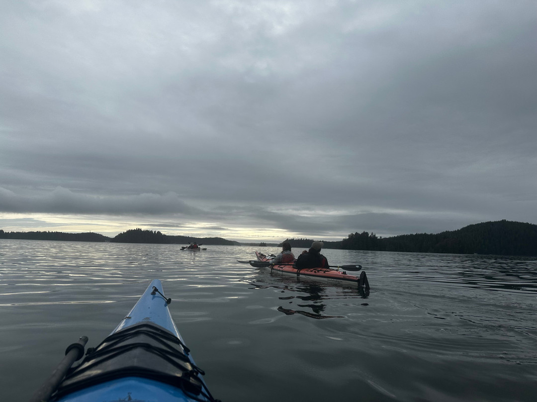 Tofino Sea Kayaking Day Tours-托菲诺必去景点