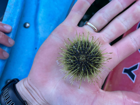 Southeast Exposure Outdoor Adventure Center-凯奇坎必去景点