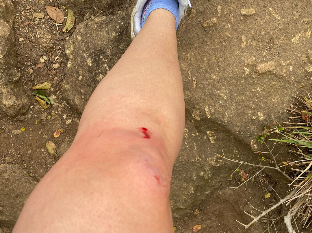 Pedra do Elefante Trail-尼泰罗伊必去景点