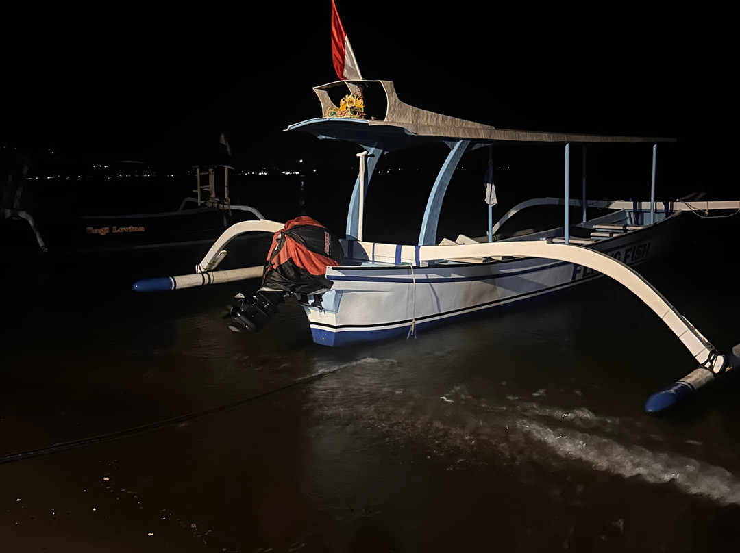 Lovina Dolphin Holiday-Tukadmungga必去景点