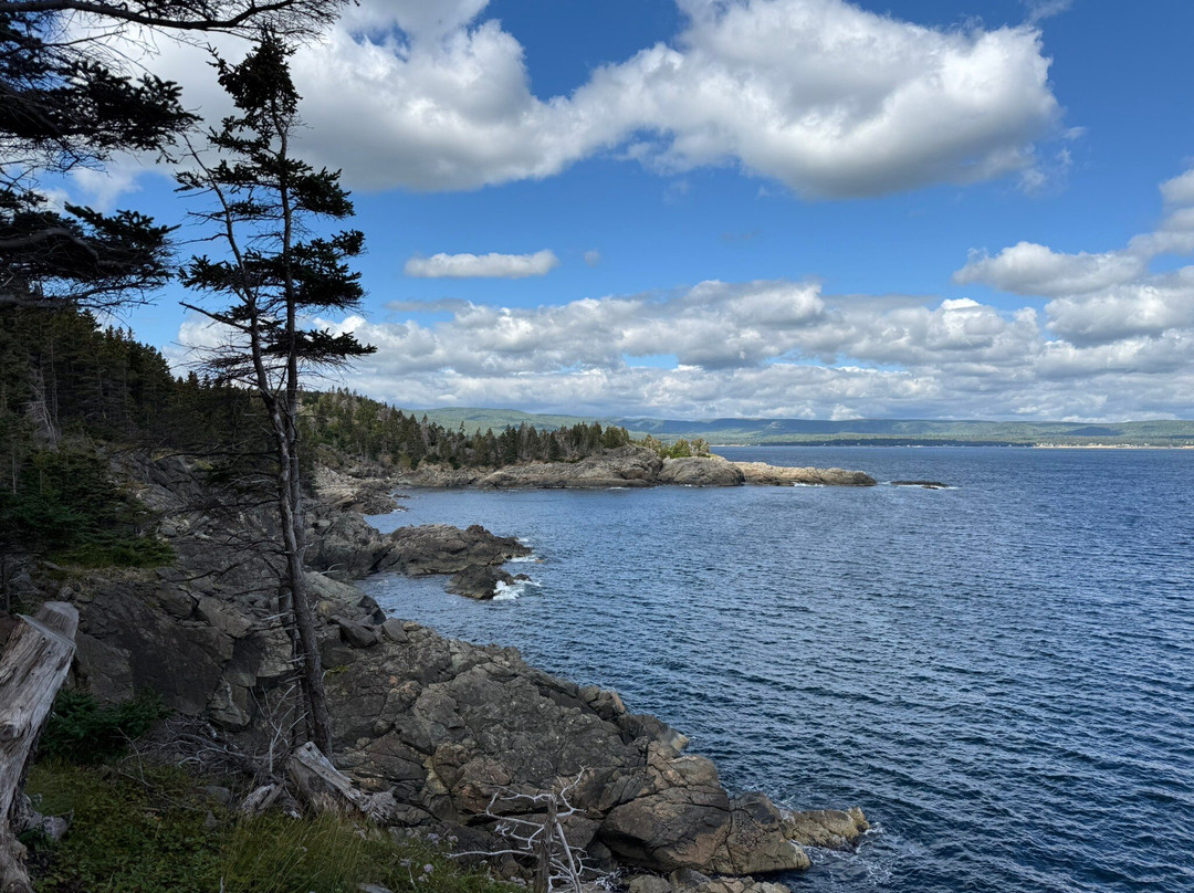 Middle Head Trail-Ingonish必去景点