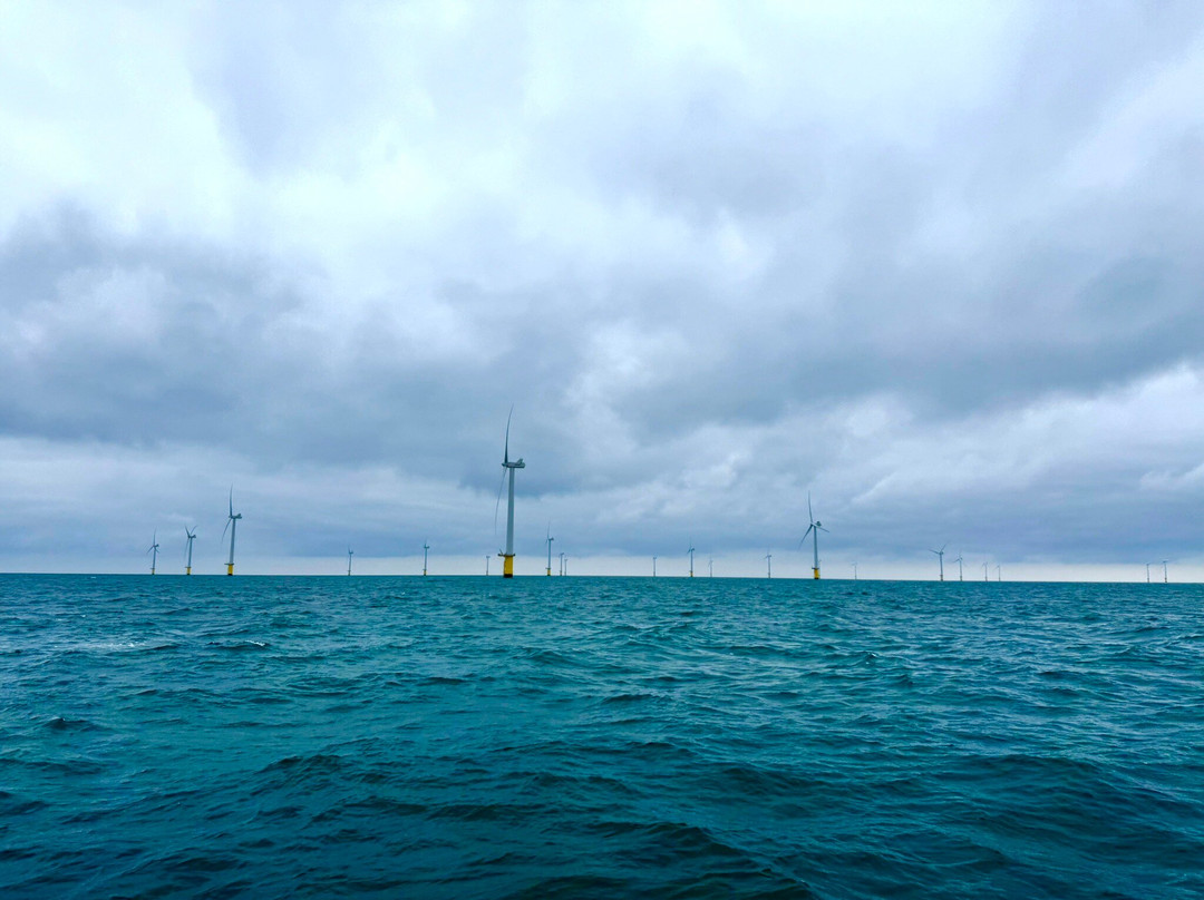 Brighton Diver-布莱顿必去景点