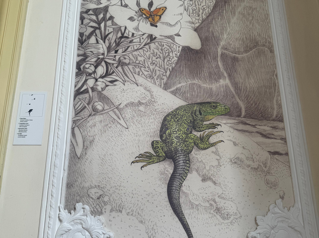 Casa do Montado-埃武拉必去景点