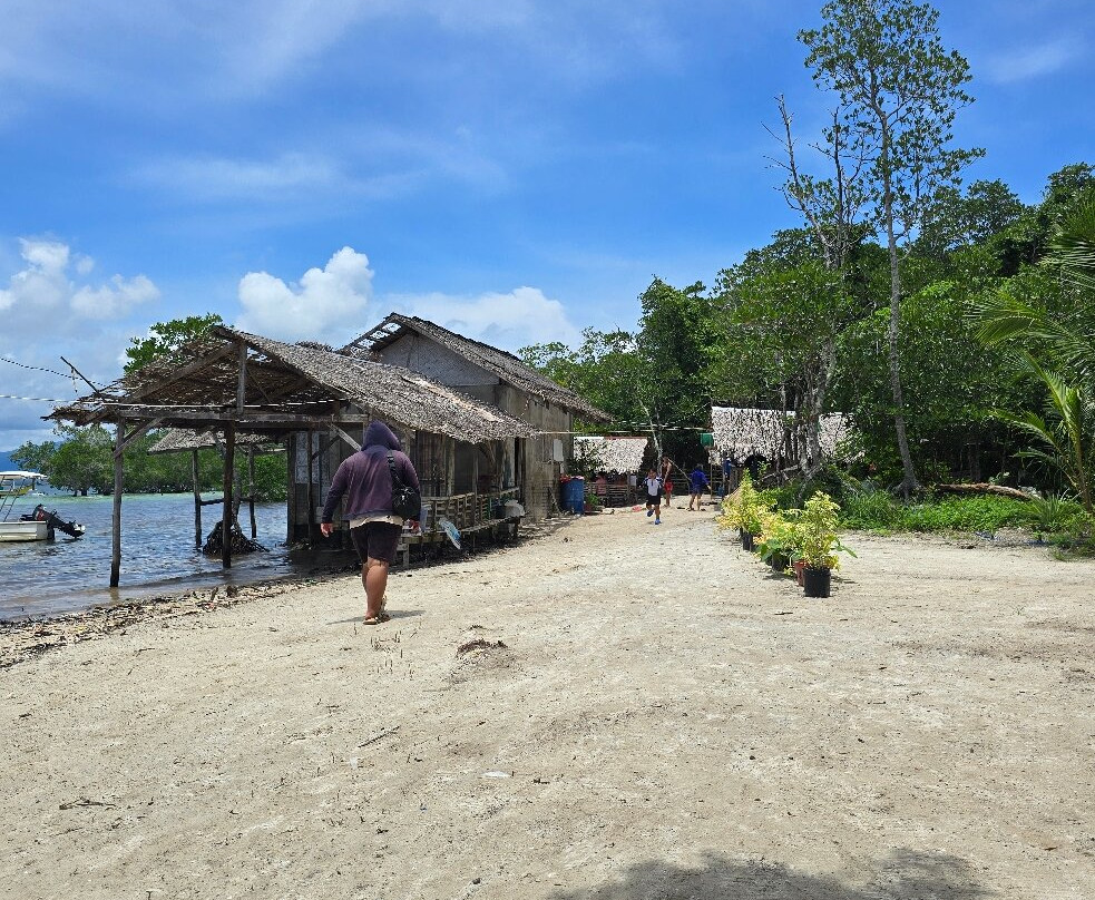 Divepuertoprincesa Dive Center-公主港必去景点