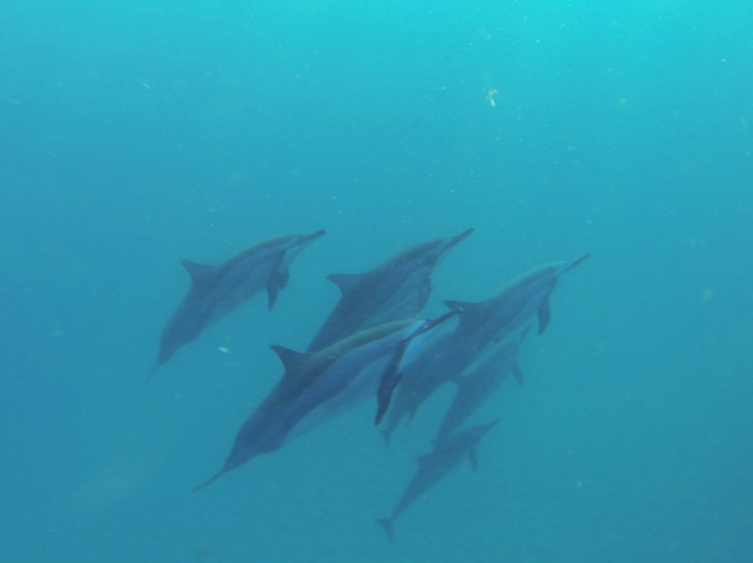 Dadou Excursion-阿尔比恩必去景点