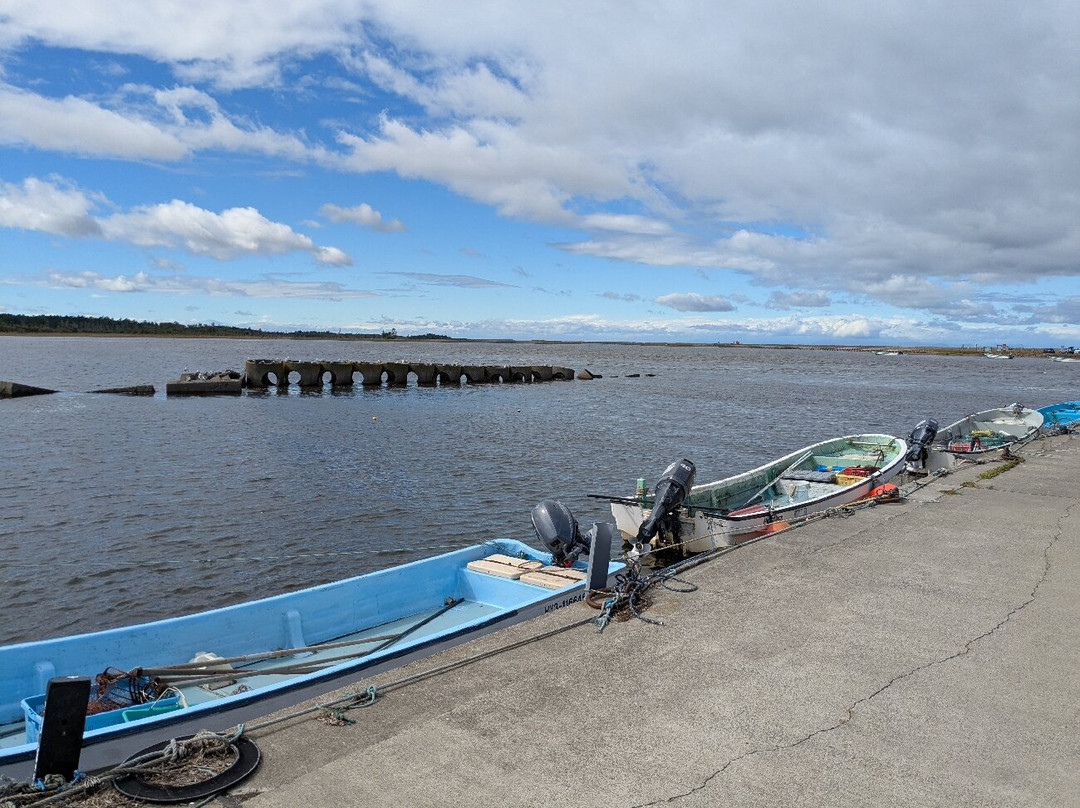 Shunkunitai-根室市必去景点