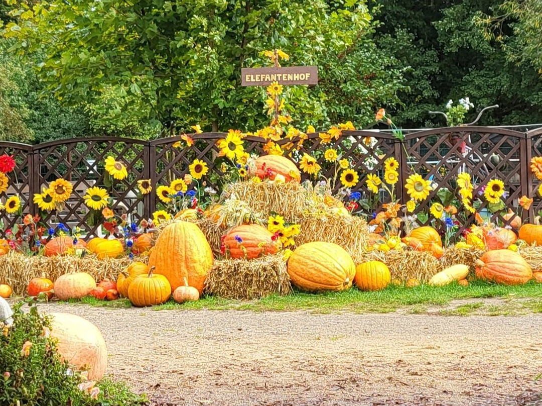 Elefantenhof Platschow-Platschow必去景点