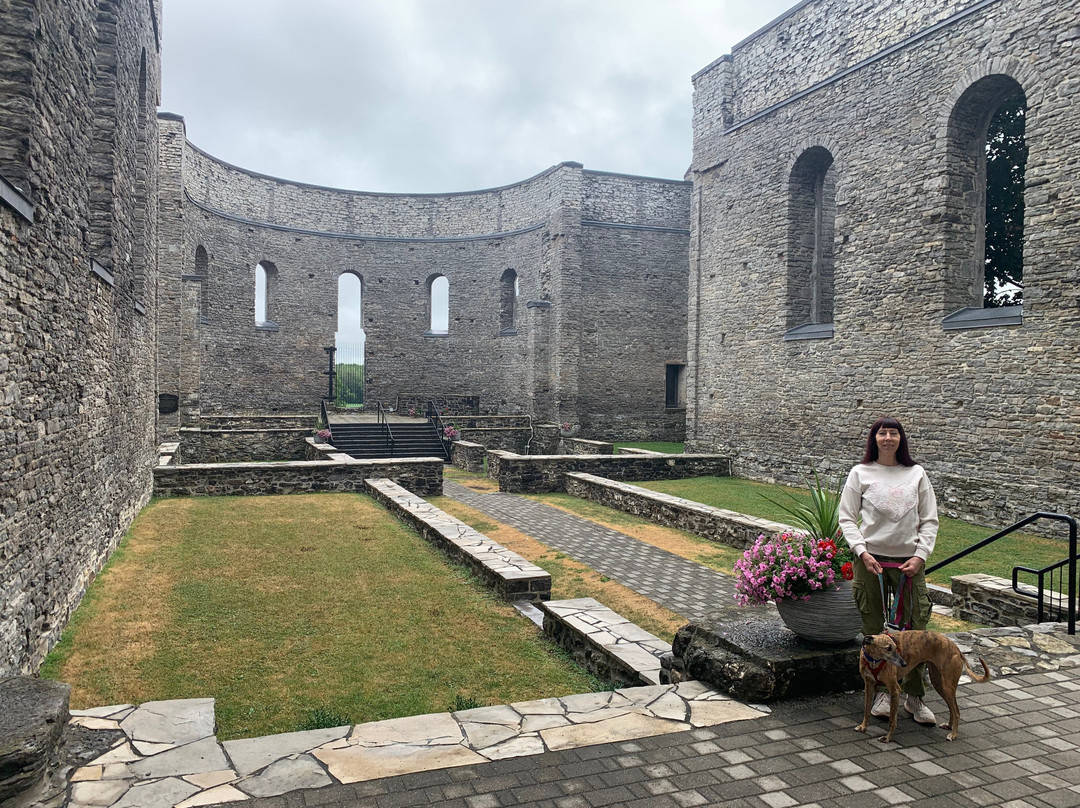 St Raphael's Catholic Church Ruins-Williamstown必去景点