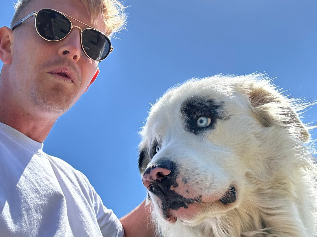 Sweet Home Alpaca-Roch必去景点