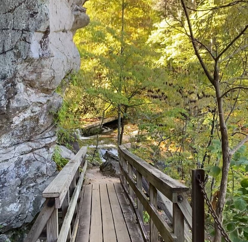 Bald River Falls-Tellico Plains必去景点