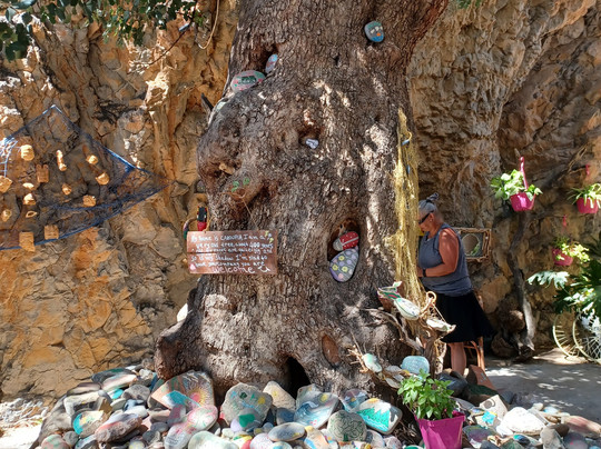 Manuel et George excursions center-古韦斯必去景点