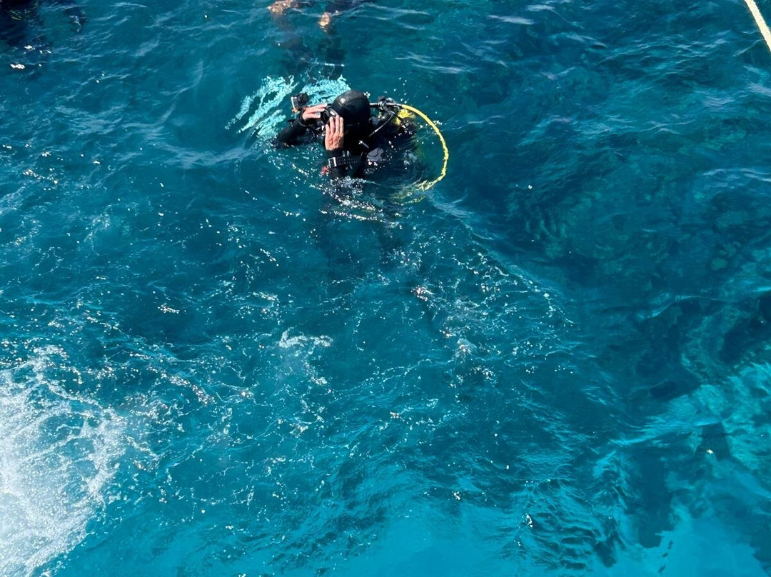 Dive more group-赫尔格达必去景点