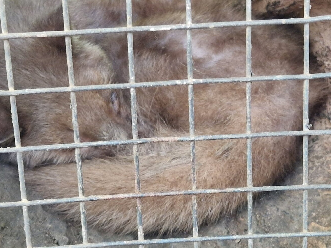 Cantik Agriculture-吉安雅必去景点