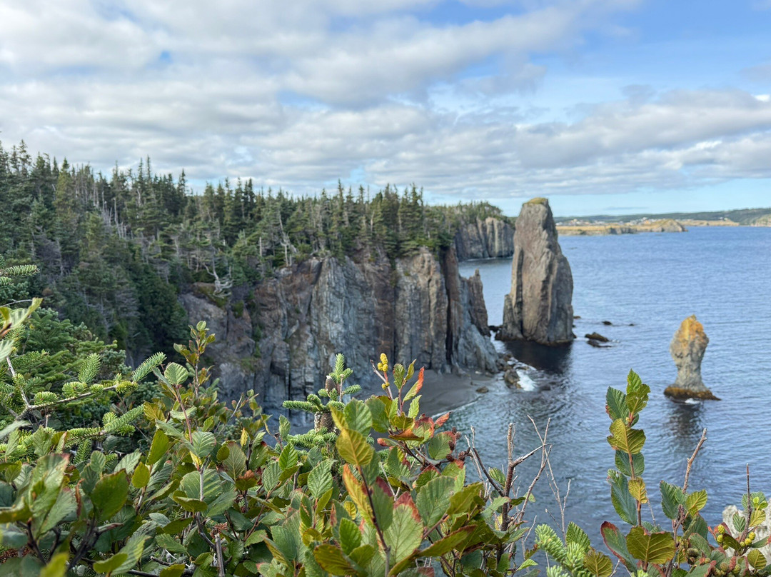 Skerwink Trail-Port Rexton必去景点
