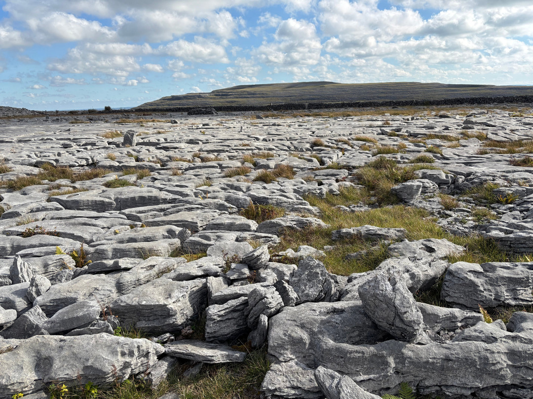 Burren Guided Walks & Hikes-Walking Day Tours-Fanore必去景点