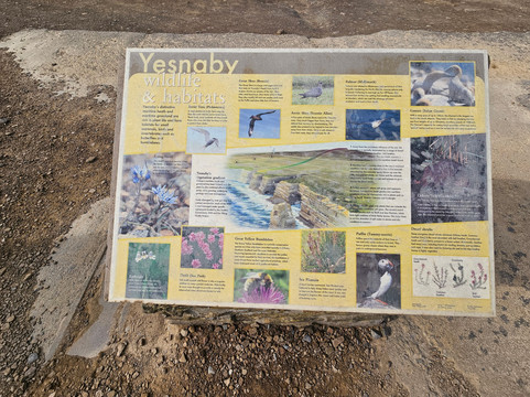 Historic Orkney-柯克沃尔必去景点