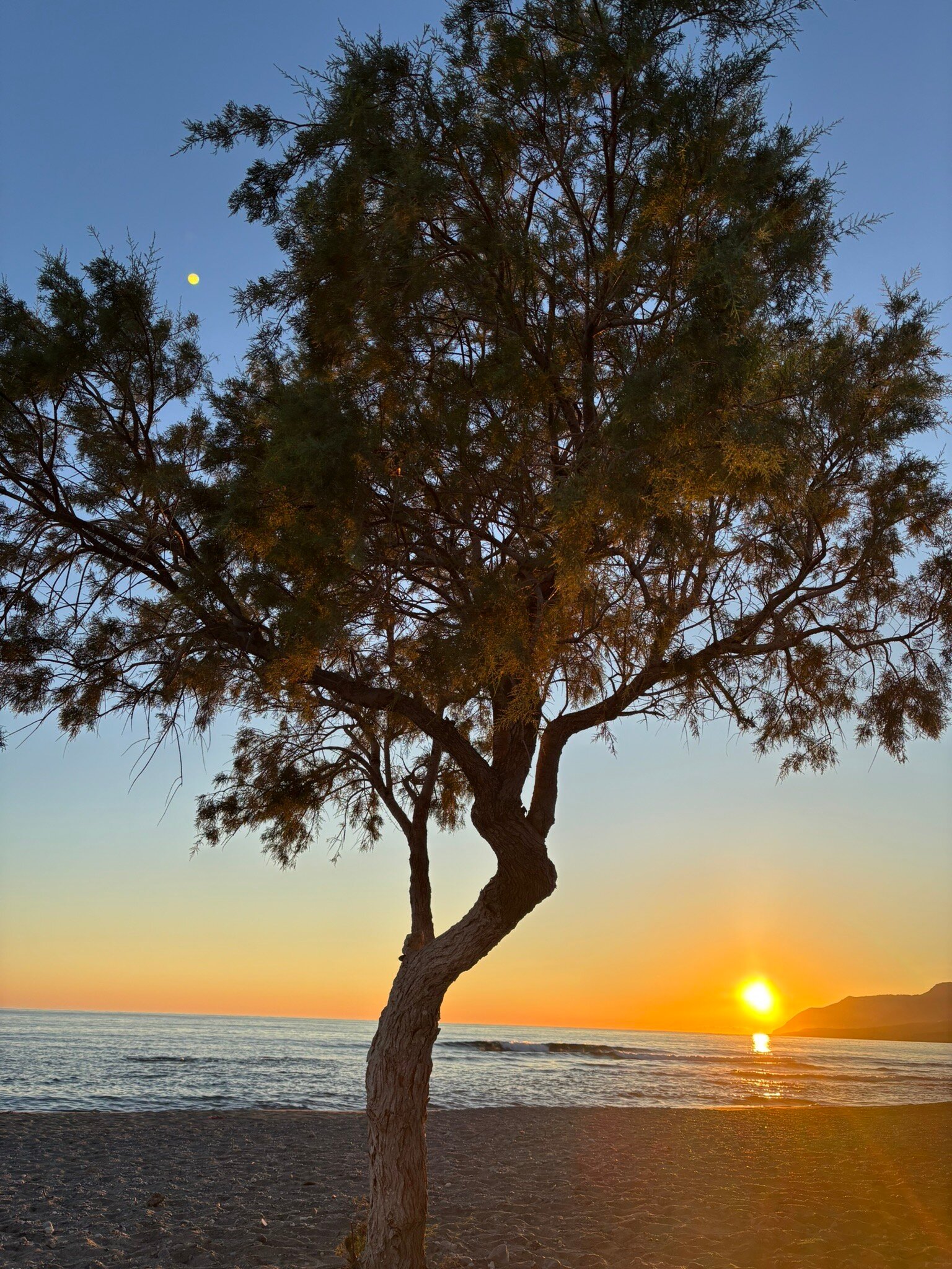 Studios Stavris-官方