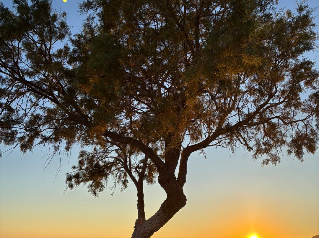 Studios Stavris主图