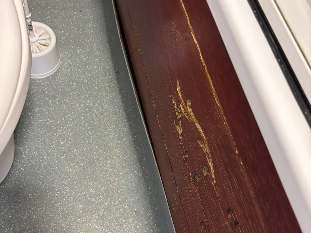 Grand Hotel Lerwick主图