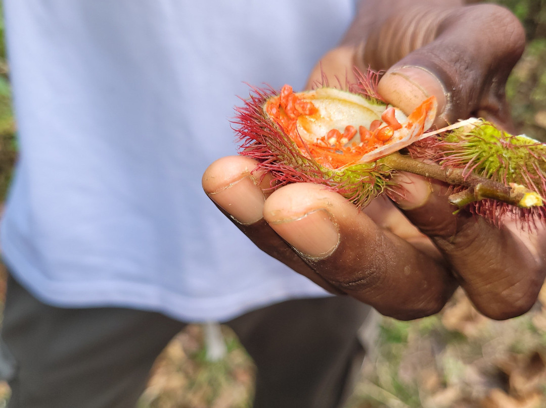 Village Green Spice farm-桑给巴尔岛必去景点