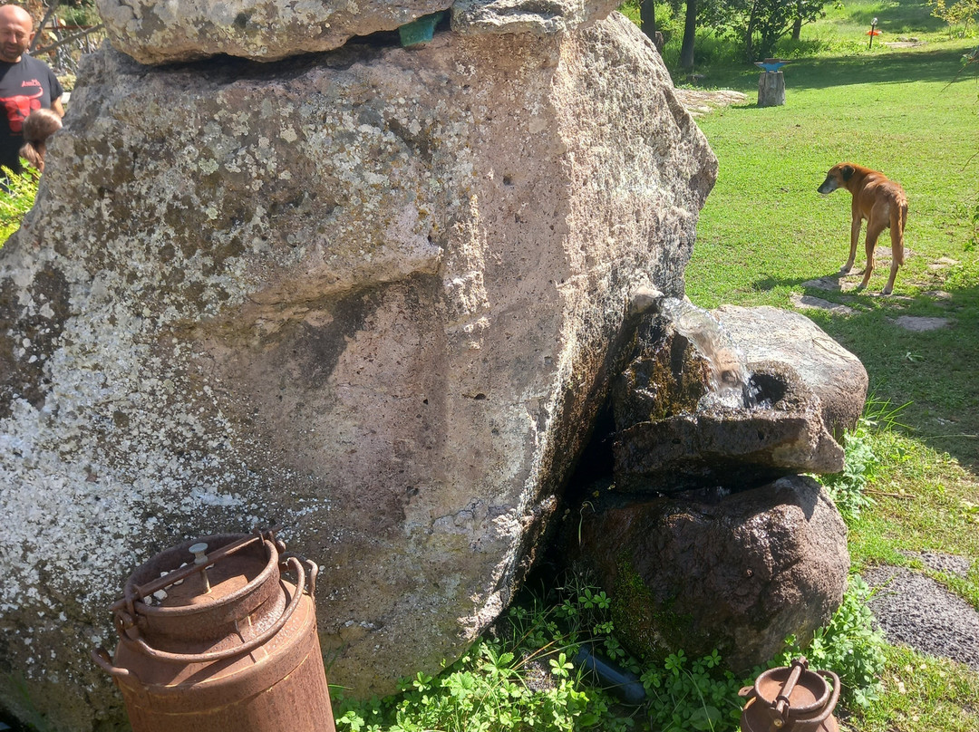 Sas Abbilas Agriturismo主图