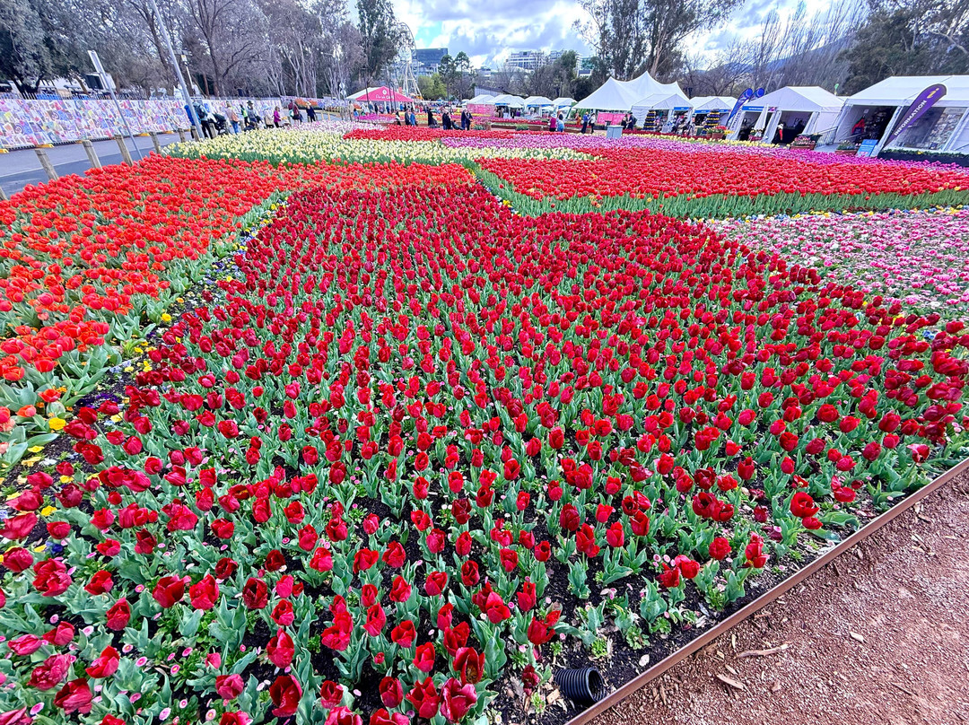 Floriade-堪培拉必去景点