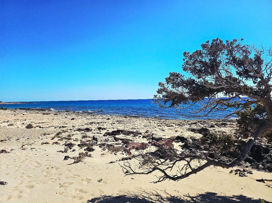 Christina Boat - Chrissi Island-Ierapetra必去景点