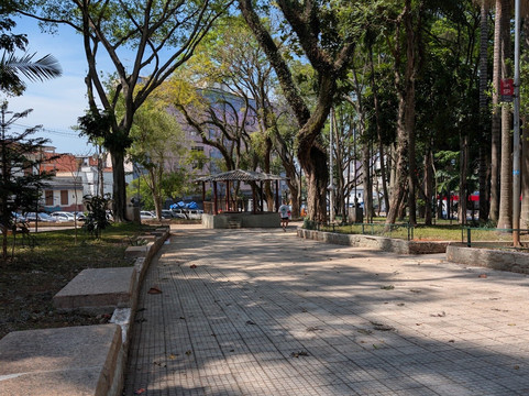 Feira de Antiguidades da Paulista-圣保罗必去景点