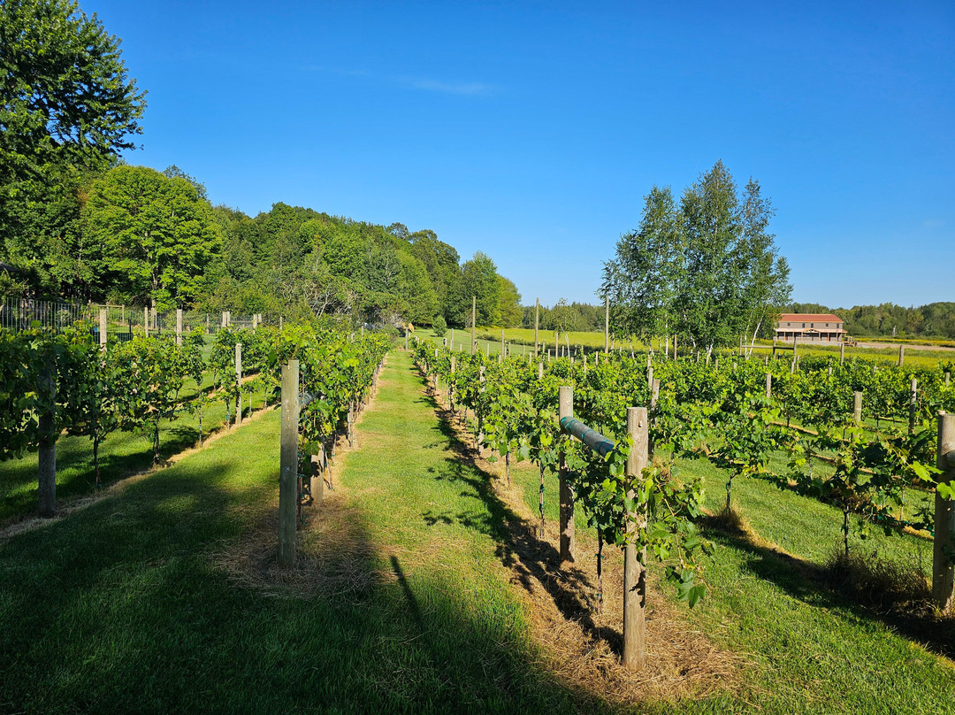 Hidden View Winery