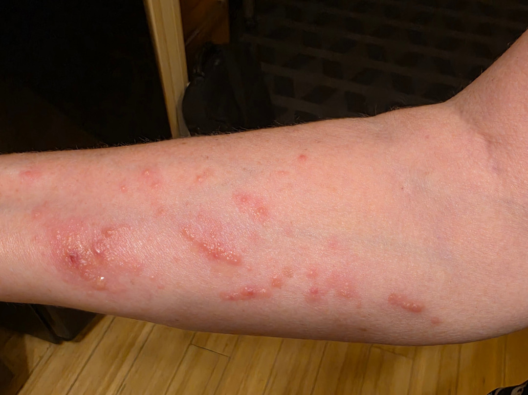 Fairfield by Marriott Inn & Suites Jackson主图