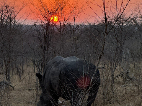 African Aerial Safaris-比勒陀利亚必去景点