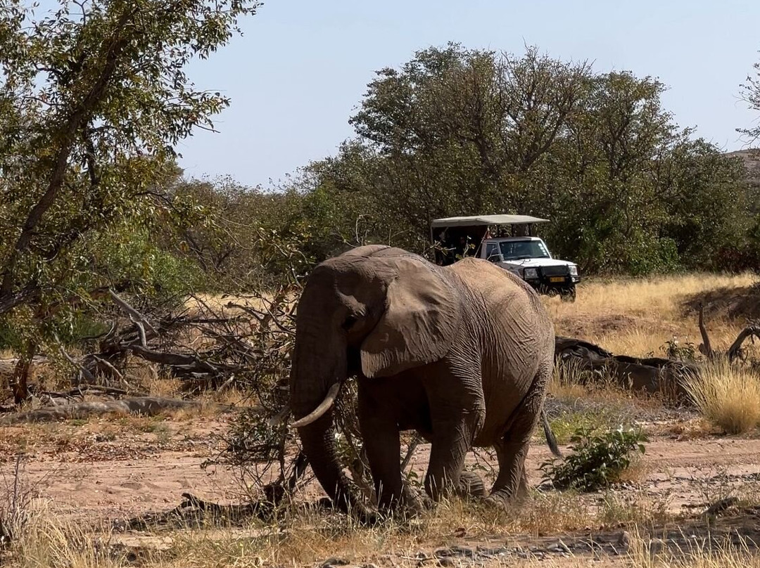 Twyfelfontein Elephant Drives-Palmwag必去景点